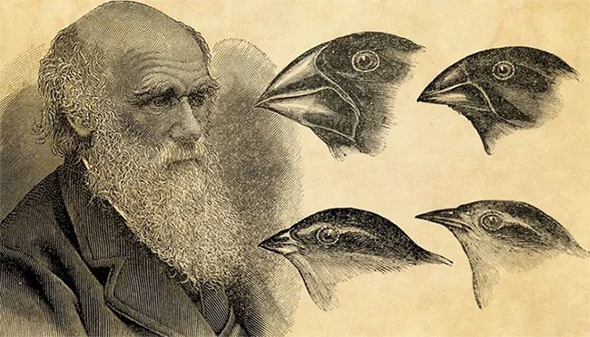 Darwin's theory of evolution remains a controversial hypothesis.