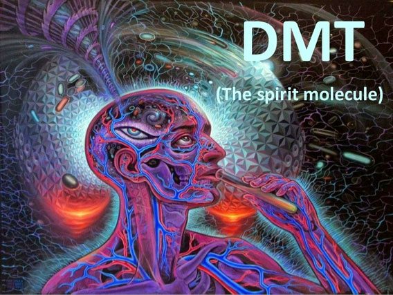 DMT is also known as the spirit molecule.