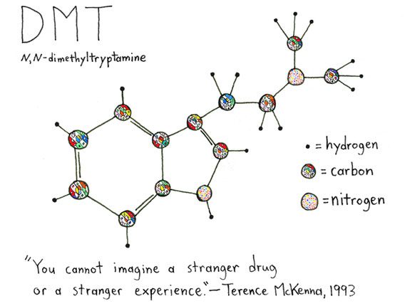 Chemical structure of DMT.