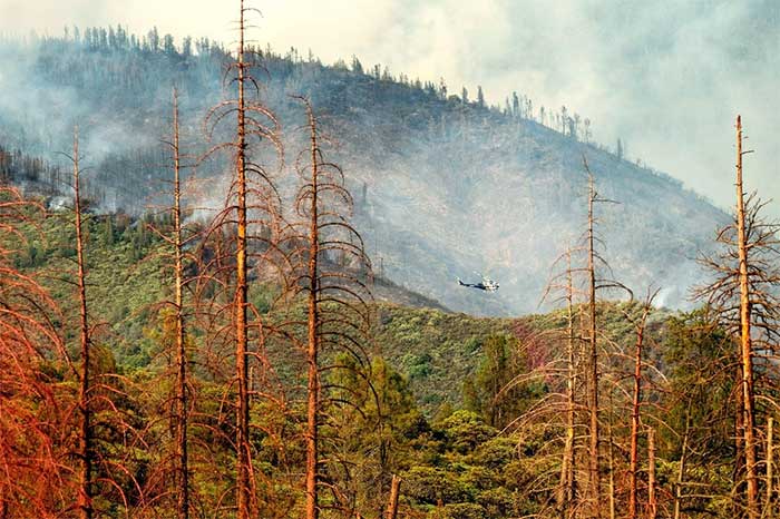 Wildfires ravage Stanislaus National Forest in California, USA on July 22.