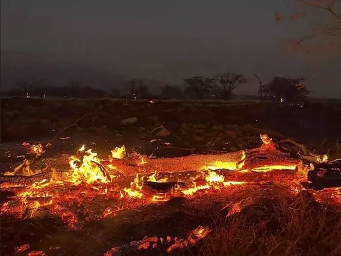 Strong winds from Typhoon Dora contribute to the rapid spread of wildfires in Hawaii.