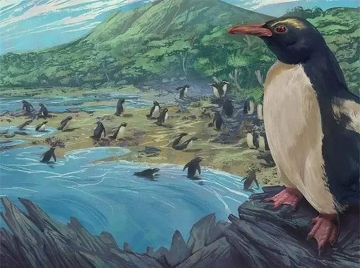 Illustration of the first penguins in New Zealand 3 million years ago.