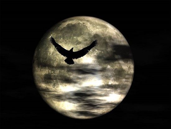 Witness animals "going wild" during full moons