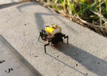 china develops robots that move faster than insects 138248