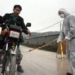 china in the epidemic of avian influenza strain 9 1285