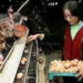 china investigates case of suspected avian flu infection 1255