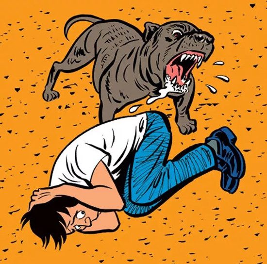 Ways to Prevent and Escape When Attacked by a Fierce Dog