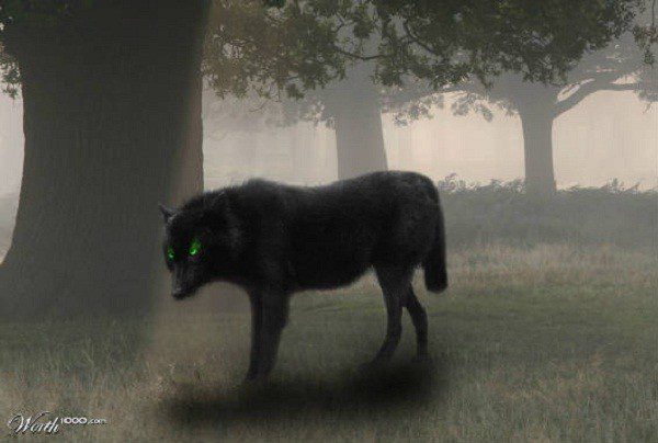 The story of the Black Dog Phantom in England