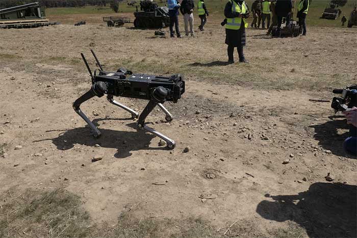 We can use robotic dogs for mine-clearing tasks