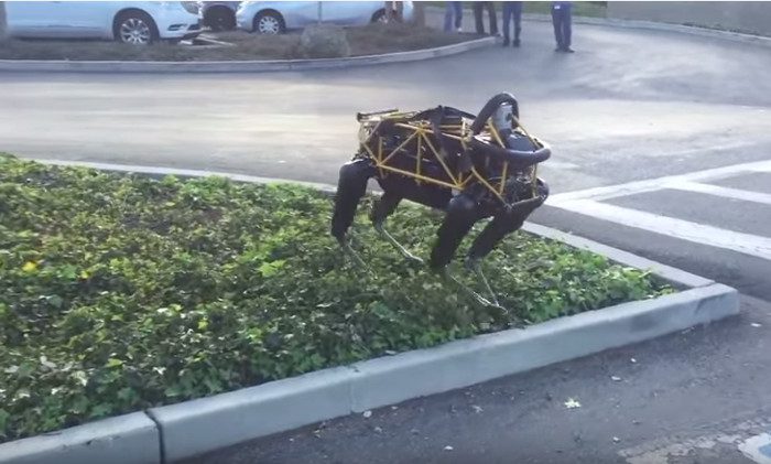 Pet dogs dislike robot dogs more than you think.