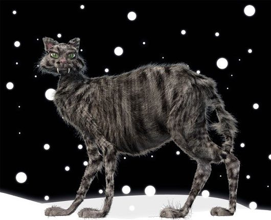 The Yule Cat is a creature from Icelandic folklore. This massive and malevolent cat lurks in snowy rural areas during the Christmas season, preying on those who do not receive new clothes before the holiday.