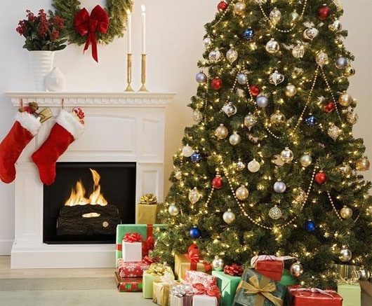 Image of December 24 is linked to the origin of the Christmas tree.