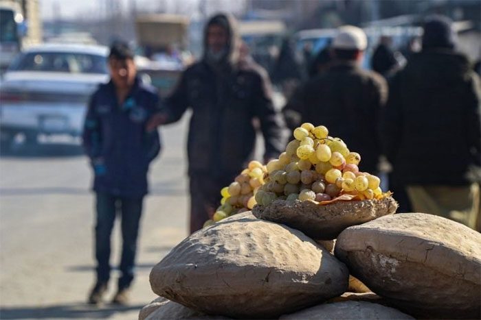 Afghans have an ancient method to keep fruits fresh longer.