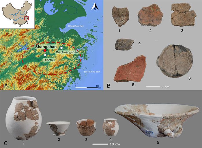 Shangshan culture artifacts containing evidence of an ancient alcoholic beverage