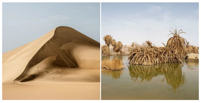 Siwa Oasis Dunes