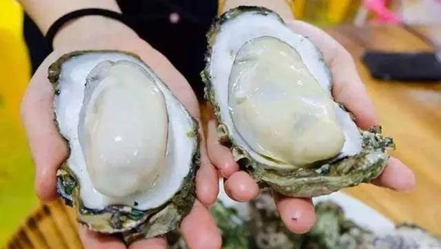 Choose oysters with round, thick shells