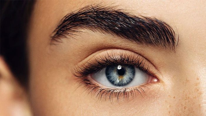 The eyes are not just the "windows to the soul" but could also be windows to predicting longevity.