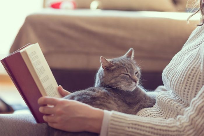 From a young age, kneading has been part of the daily activities of your cat.