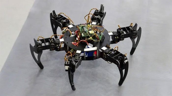 Robotic Insects