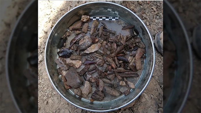 Some stone tools excavated from the rock shelter