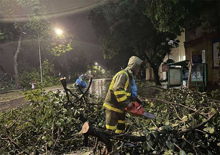 Workers from Hanoi Greenery Company trimming fallen branches on Dinh Tien Hoang Street.