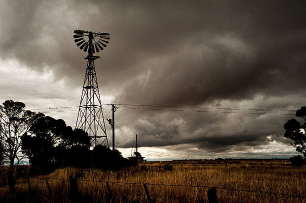 Through storms, our ancestors accumulated a wealth of experience in recognition