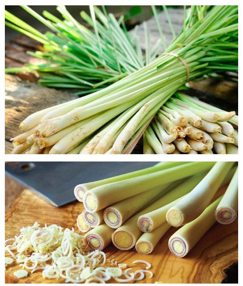 Image of lemongrass.