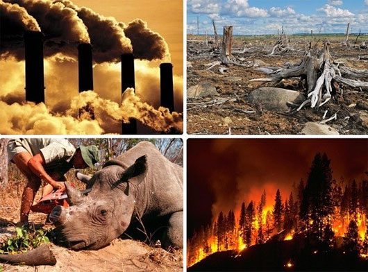 5 Terrifying Mass Extinctions in Earth's History