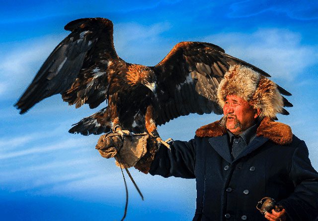 Taming the golden eagle as a hunting "assistant" is an ancient tradition of nomads