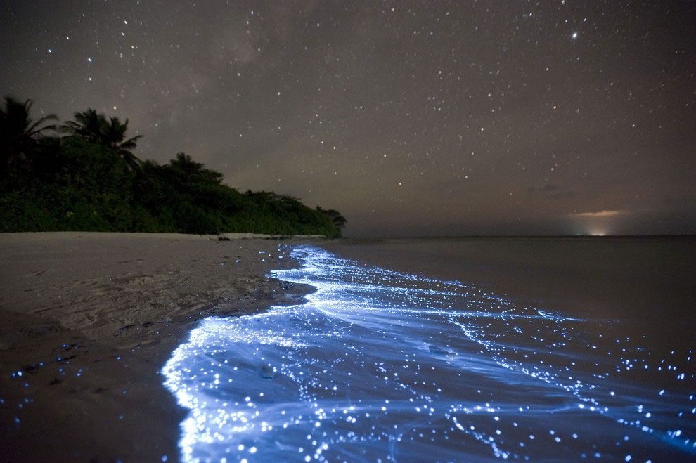 Strange phenomena in the ocean