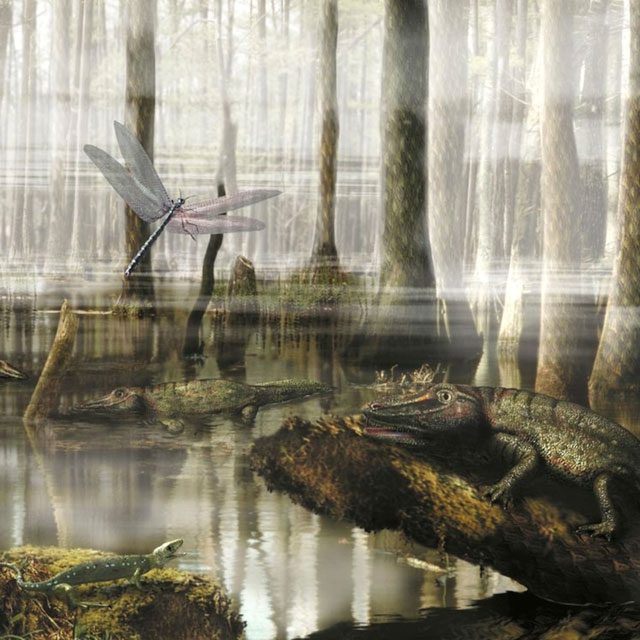 Illustration of Carboniferous Swamps.