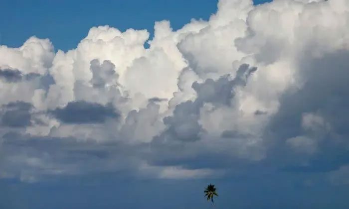 Low and Dark Clouds