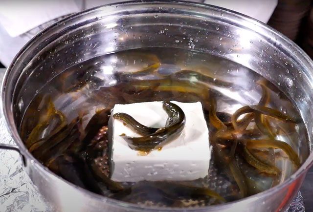The preparation of loach tofu that makes diners shudder.