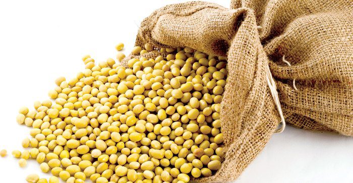 In some places in Egypt, various harvested seeds such as soybeans, green beans...