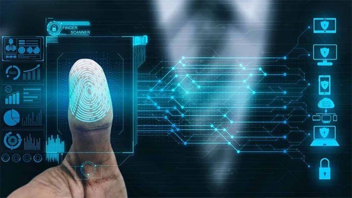 The formation of fingerprints is a complex process influenced by multiple factors.