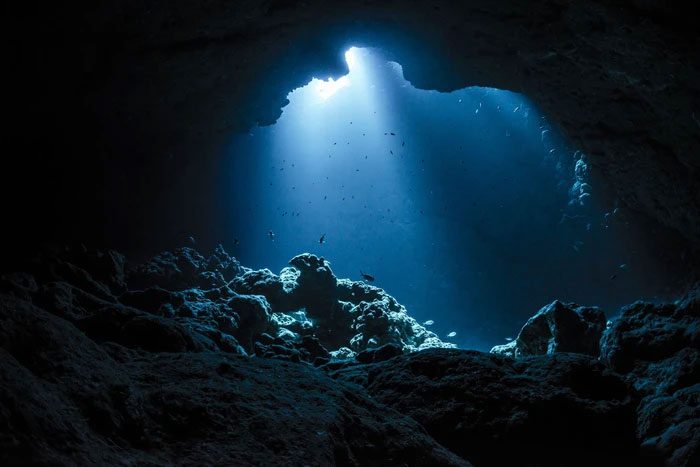 The landscape of the deep sea is entirely different from what we usually see.