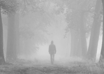 decoding the phenomenon of ghosts and survival skills when lost in the forest 120880