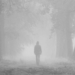 decoding the phenomenon of ghosts and survival skills when lost in the forest 120880