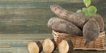 different types of popular potatoes in vietnam 137501