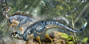 dimetrodon1