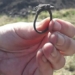 discovery of 1 000 year old ring of forgotten hairstyle in scotland 136580