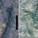 discovery of similar dinosaur footprints at two sites in the western sea coast 136431