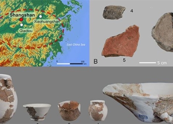 discovery of the worlds oldest fermented wine in china 138402