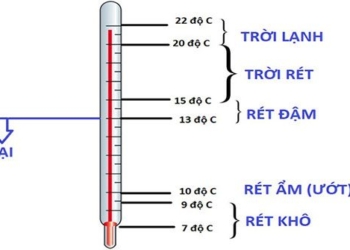 distinguishing between ret dam ret hai ret am ret kho kieu which ret is the scariest 110389