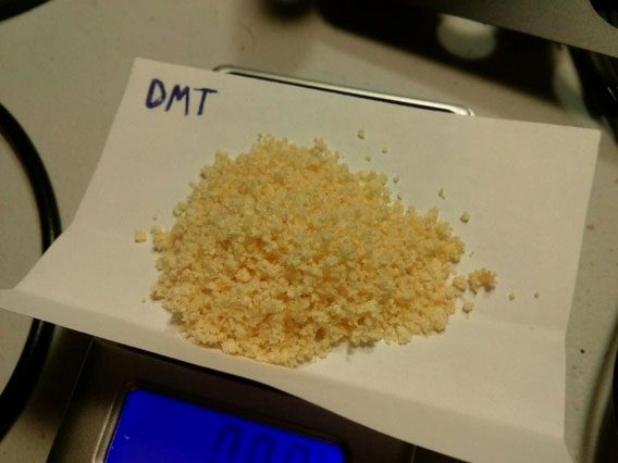 DMT in powder form.