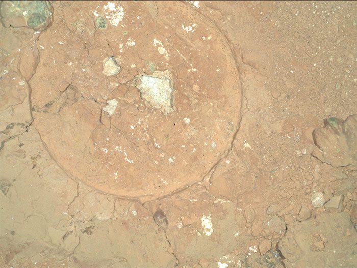 Strange green features appear in the image sent back by NASA's robot