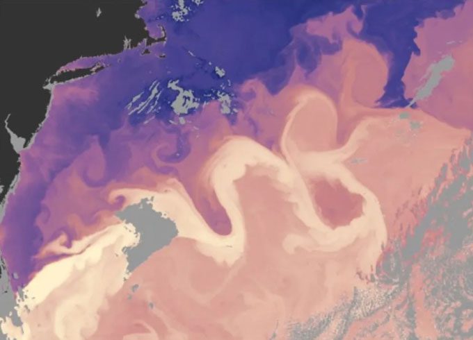 The Gulf Stream current provides heat and salt to the North Atlantic (light pink)