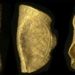 dong tien gold noble 650