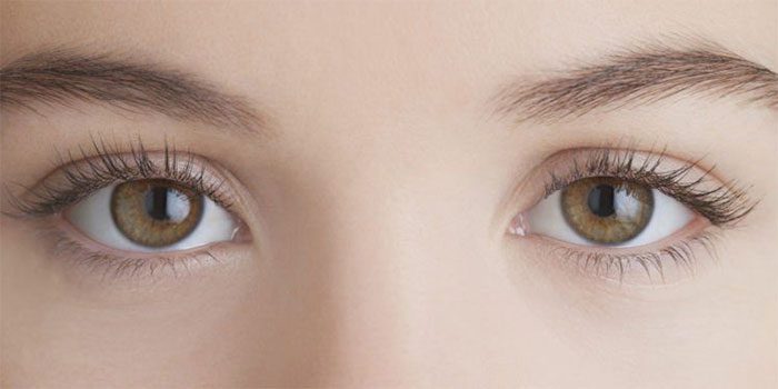 Pupil size is closely related to differences in intelligence.