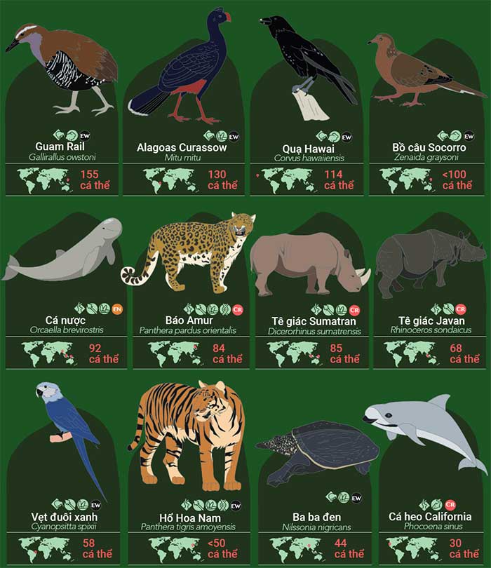 32 endangered species, 9 of them with fewer than 100 individuals left